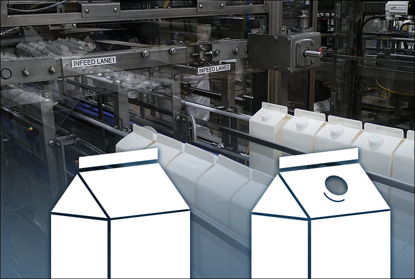 Schneider gable top case packer